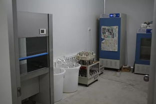 雙興新盛木耳菌包廠 優質菌包熱銷中，專業技術助力致富路